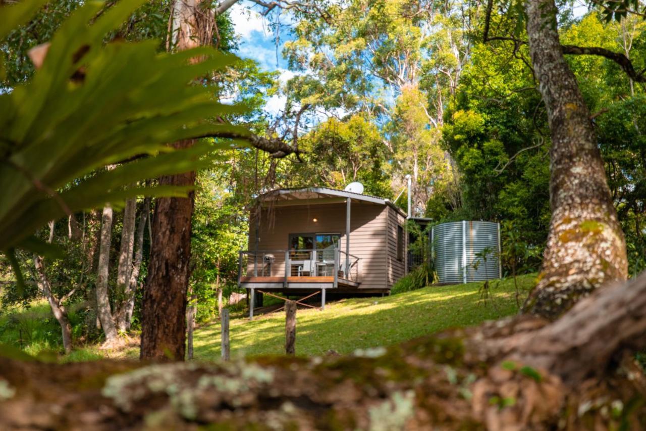 Whispering Valley Cottage Retreat Maleny Exteriör bild