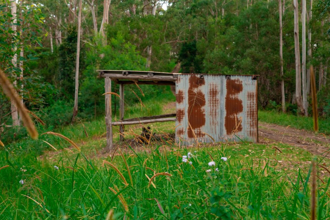 Whispering Valley Cottage Retreat Maleny Exteriör bild