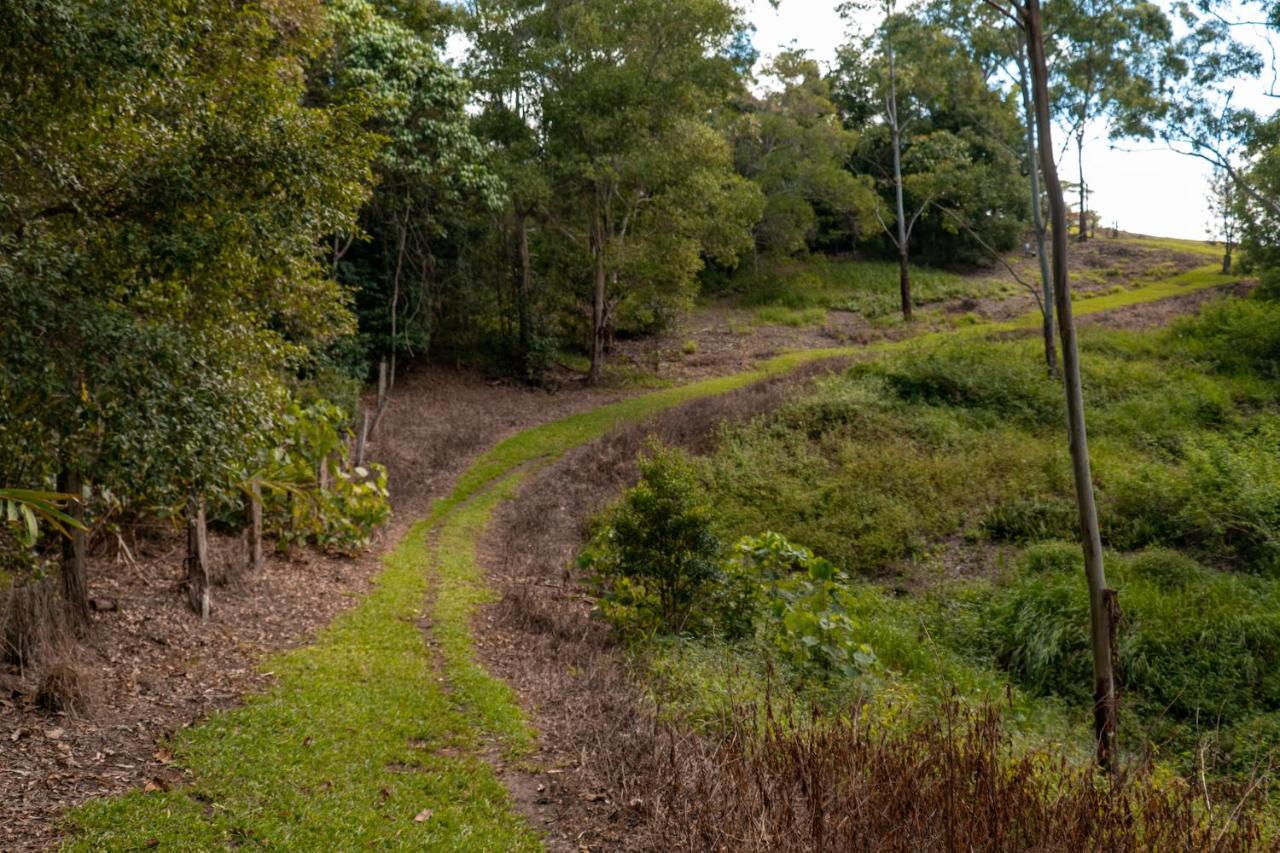 Whispering Valley Cottage Retreat Maleny Exteriör bild