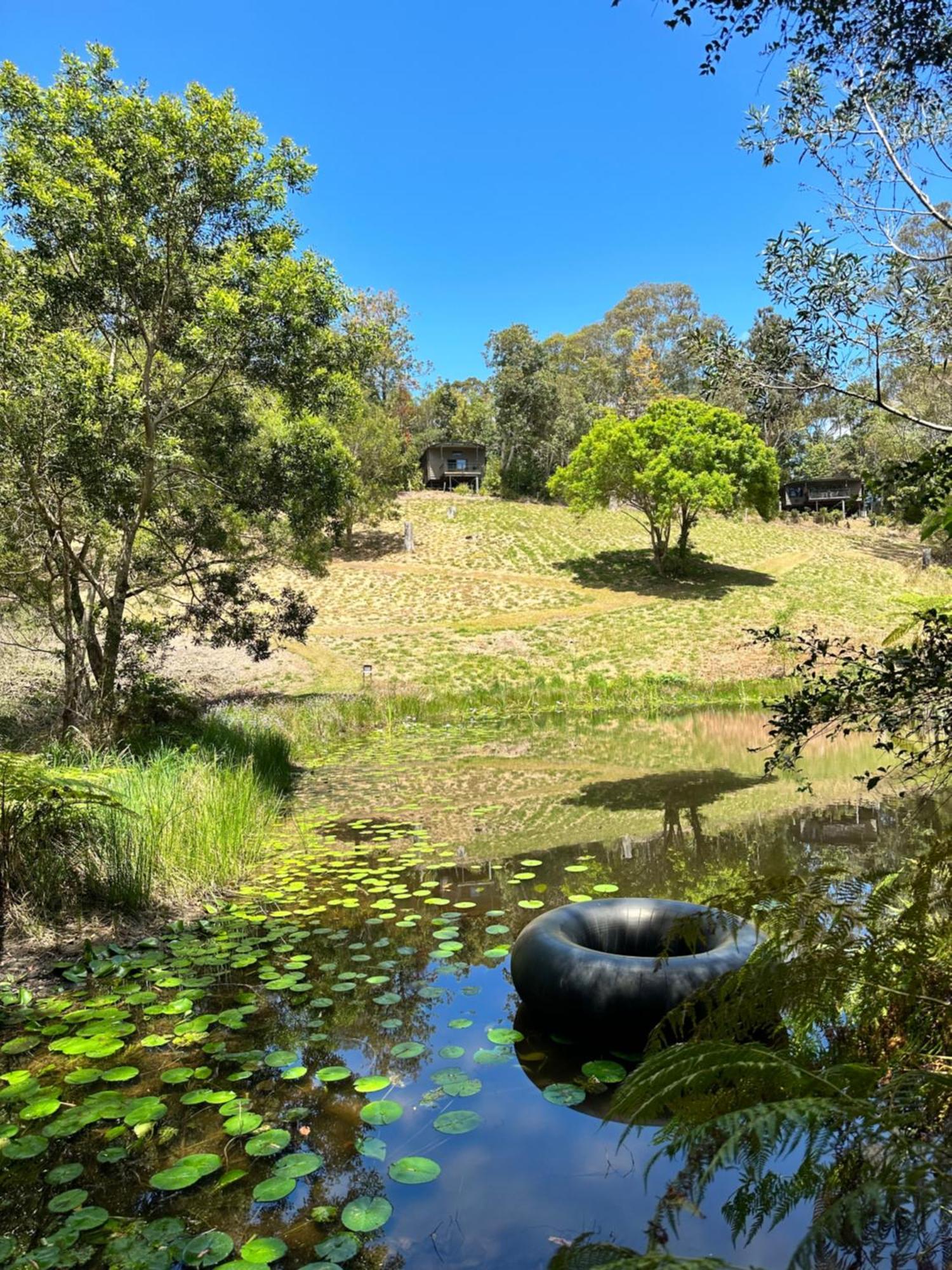 Whispering Valley Cottage Retreat Maleny Exteriör bild