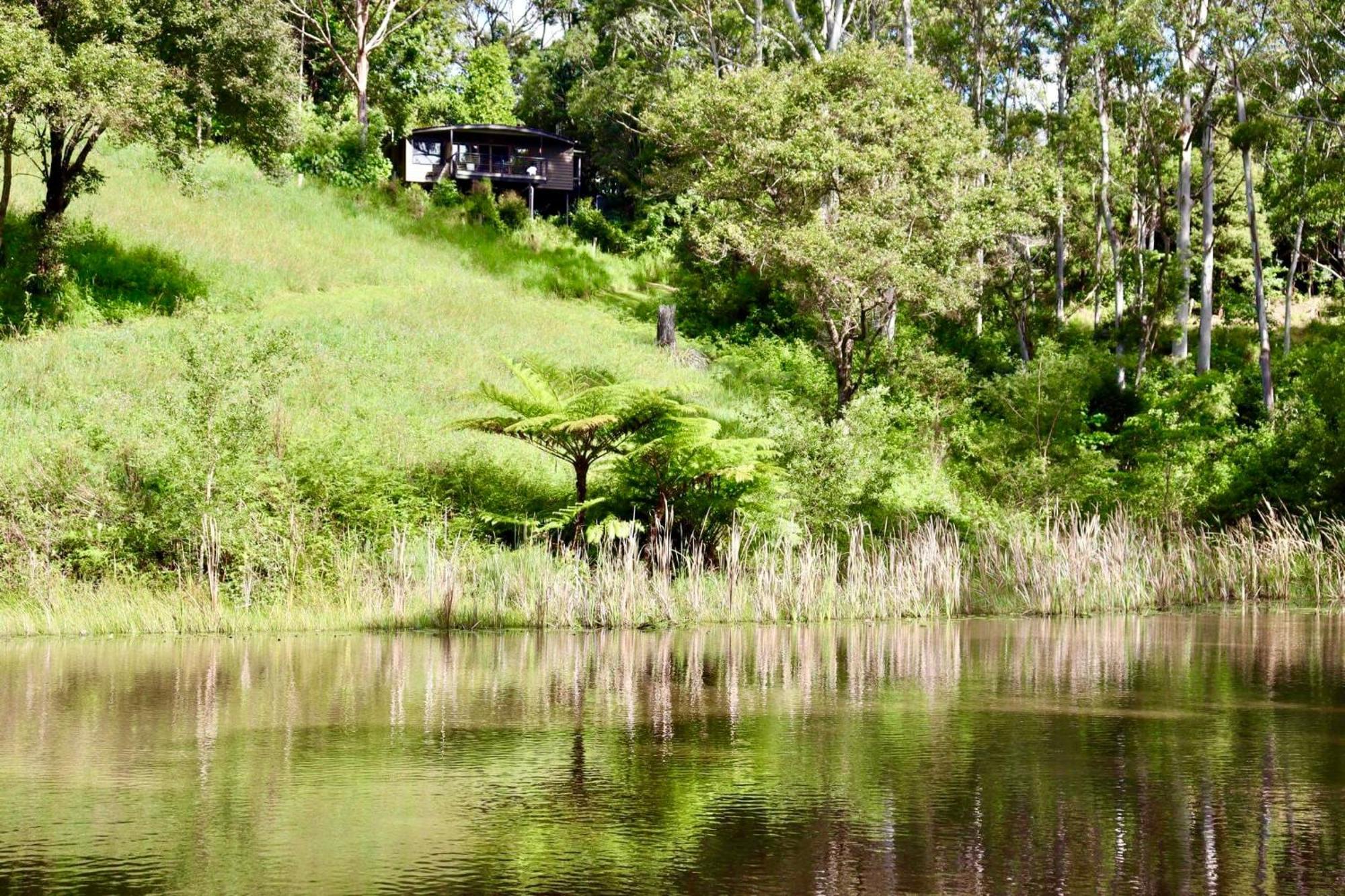 Whispering Valley Cottage Retreat Maleny Exteriör bild
