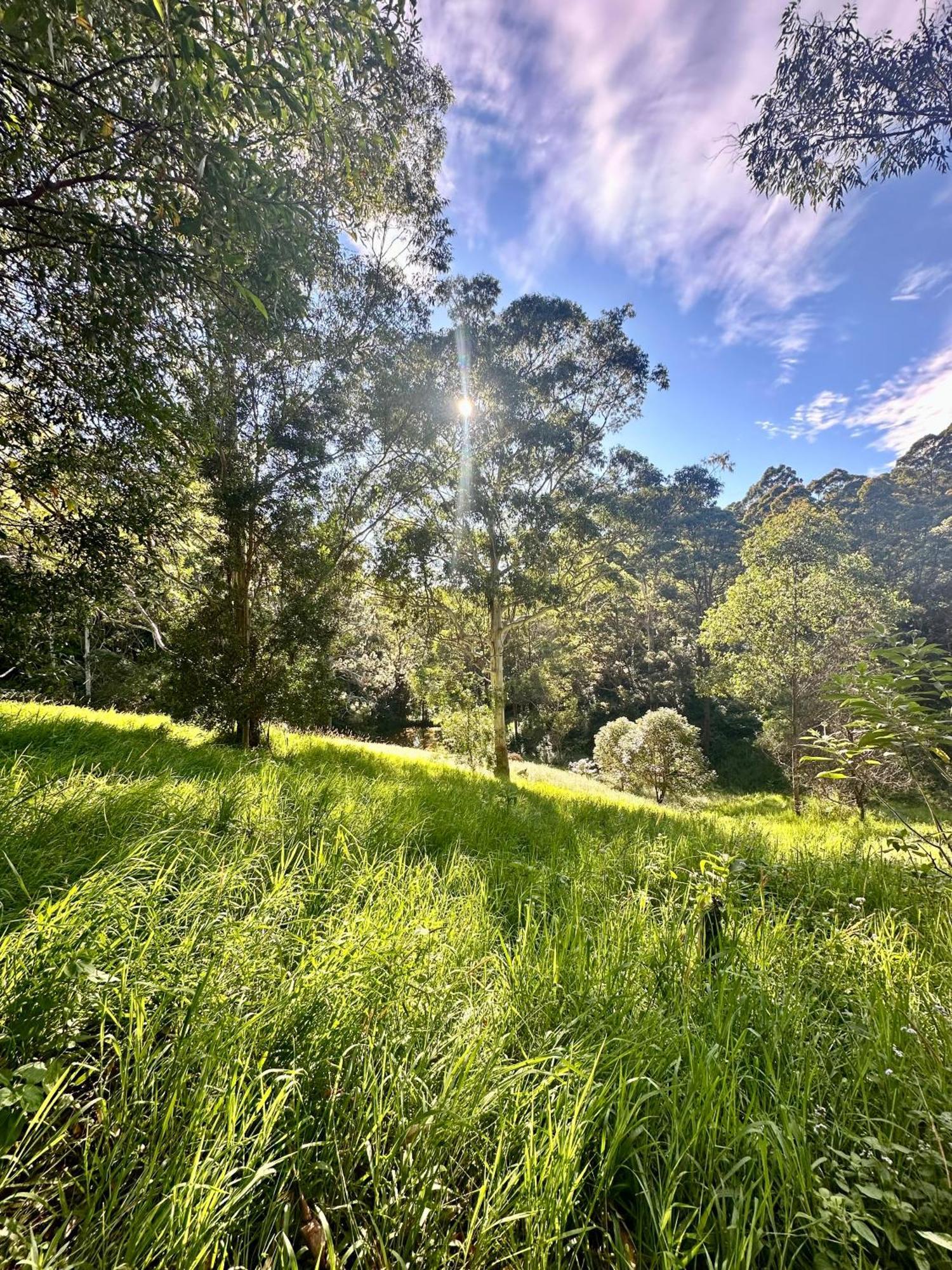 Whispering Valley Cottage Retreat Maleny Exteriör bild