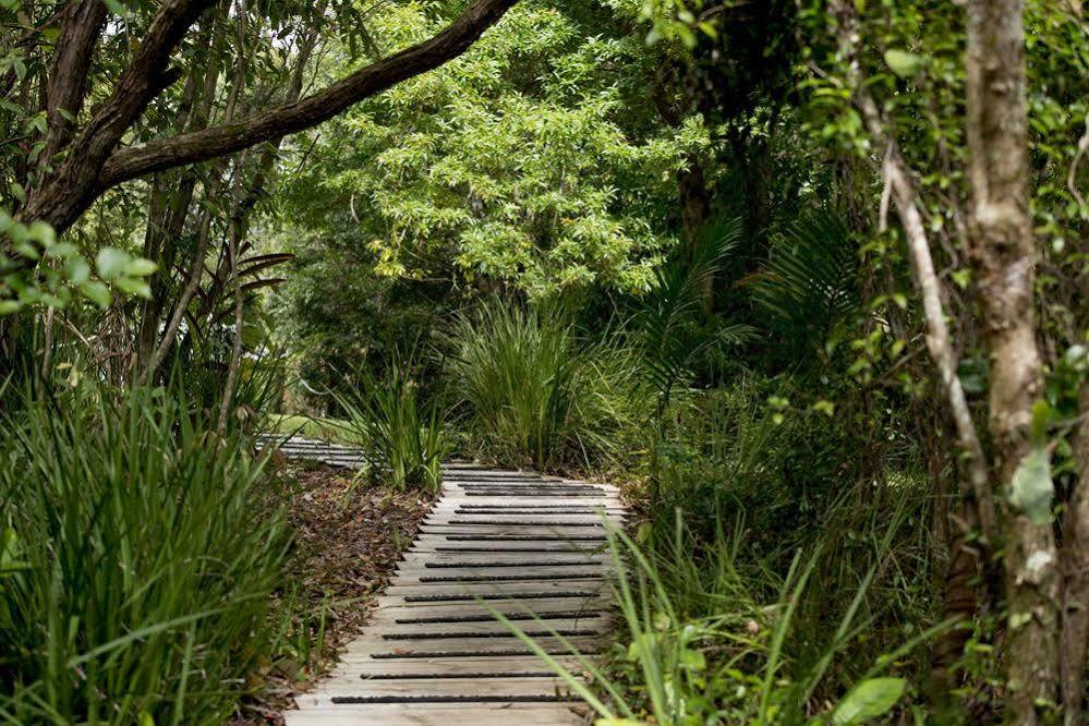 Whispering Valley Cottage Retreat Maleny Exteriör bild