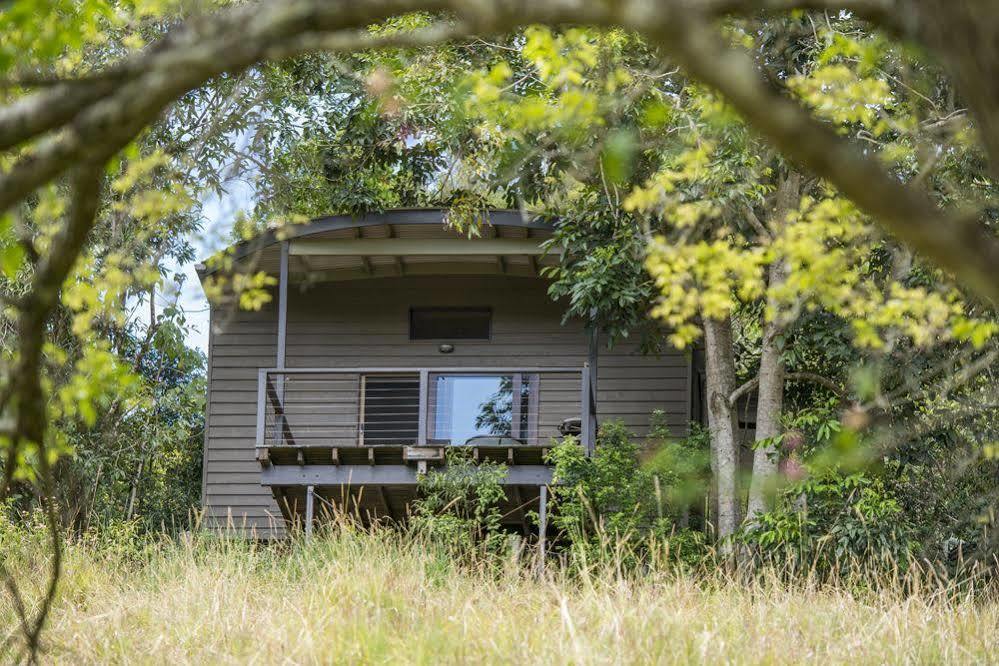 Whispering Valley Cottage Retreat Maleny Exteriör bild