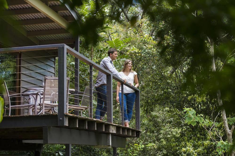 Whispering Valley Cottage Retreat Maleny Exteriör bild