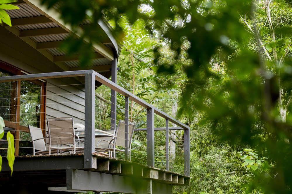 Whispering Valley Cottage Retreat Maleny Exteriör bild