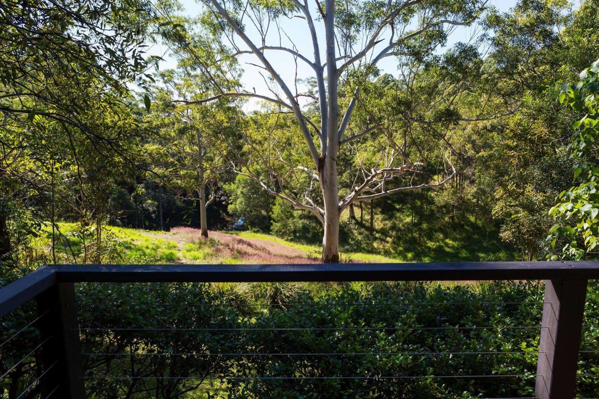 Whispering Valley Cottage Retreat Maleny Exteriör bild